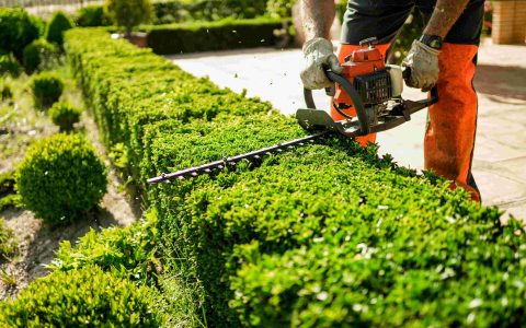 AdobeStock_534349268_parolex
